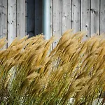 Maasparcje Met Hottub,kamadobbq En Firepit