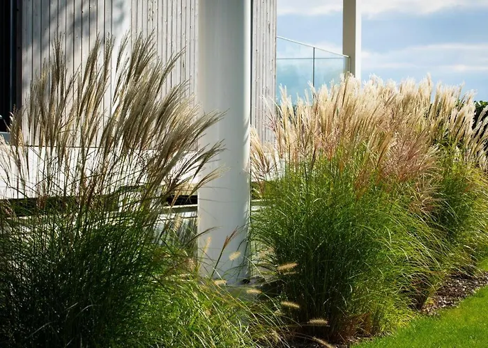 Maasparcje Met Hottub,kamadobbq En Firepit Roermond